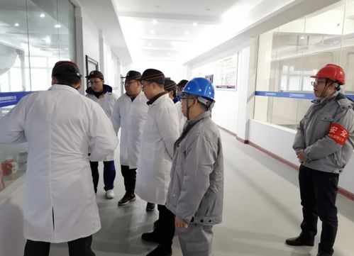 專業(yè)咨詢賦能項(xiàng)目管理 湘核新材項(xiàng)目管理咨詢服務(wù)解決方案